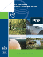 Aspectos ambientales de la gestion integrada de crecidas.pdf