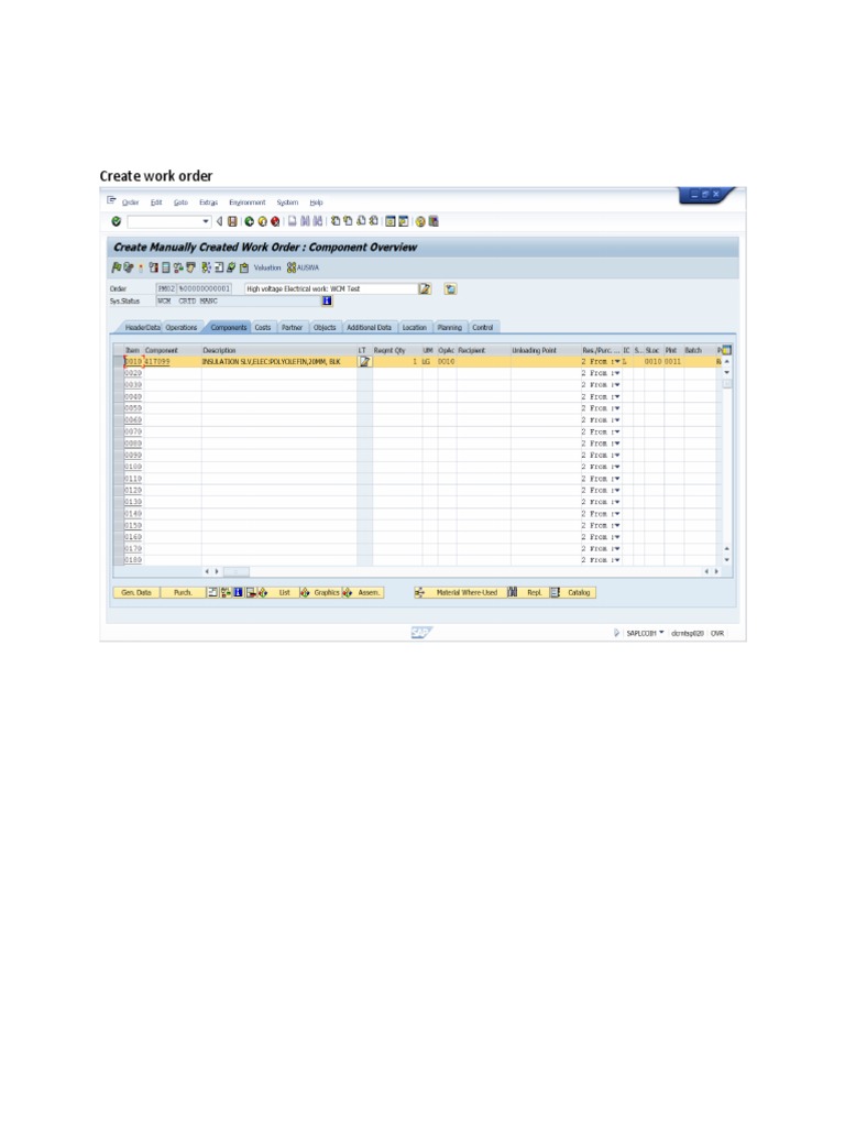 Work Order Creation Guide | PDF