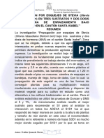 Stevia PDF