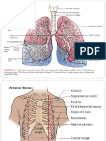 Respiratory Exam Guide