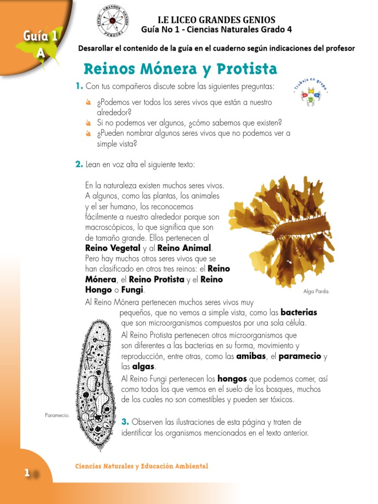 Microorganismos y Reinos de Vida | PDF | Malaria | Hongo