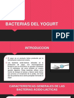Bacterias Del Yogurt