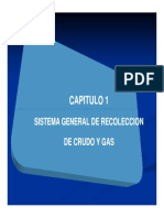 Cap I - Recoleccion de Crudo y Gas (Modo de Compatibilidad)