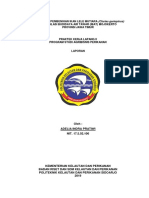 Laporan PKL II, Adelia Indra Pratiwi PDF