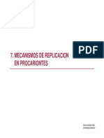 Mecanismos de Replicación en Procariontes