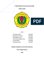 Laporan Praktikum Patologi Klinik Urinalisi Blok 13 Skuy