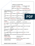 Company Classification MCQ