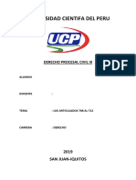 Universidad Cientifa Del Peru-Procesal III 2019
