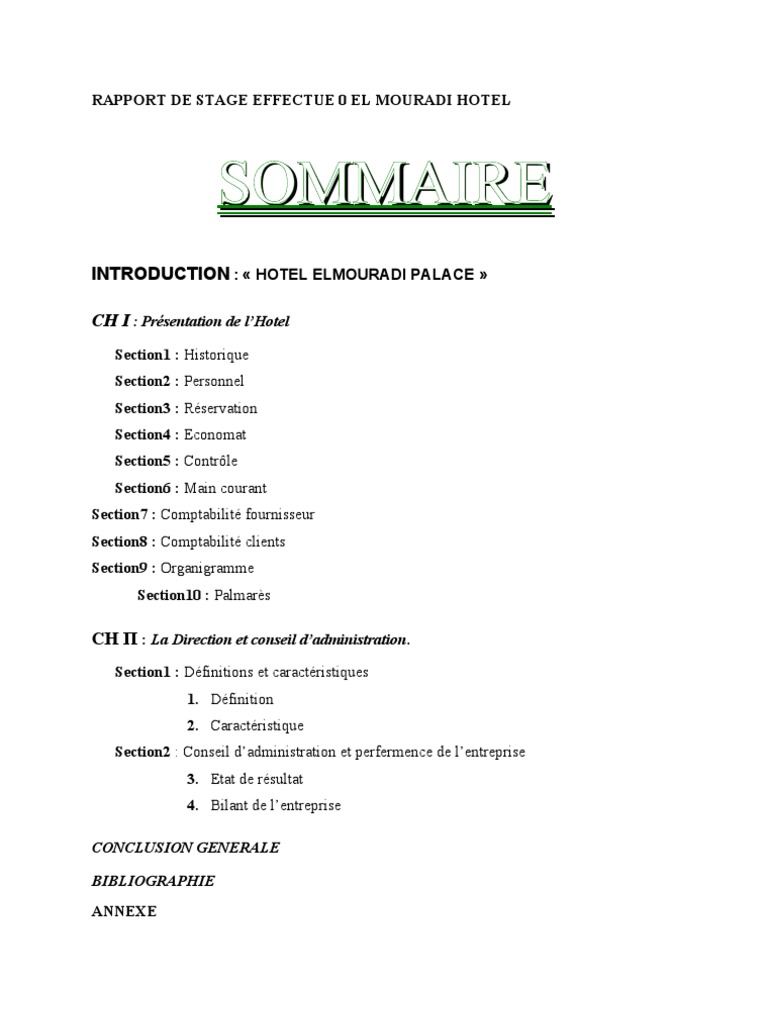 Exemple De Rapport De Stage En Infographie Pdf Jermanmexi