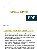 SQL Plus Reports: Bordoloi and Bock