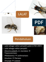 Lalat sebagai vektor penyakit