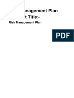 risk management plan.pdf