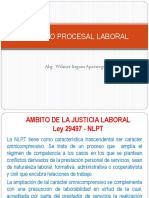 Derecho Procesal Laboral: Abg. Wilmer Irigoín Apaéstegui