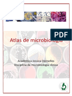 Atlas Citopatologia Ginecológica