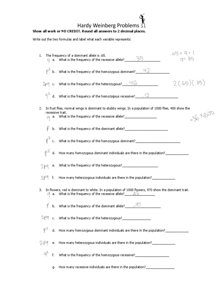 Hardy Weinberg Equation Practice Problems | PDF | Zygosity | Dominance ...