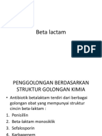 Beta Lactam