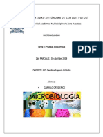 Tarea 2, Pruebas Bioquímicas