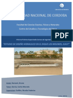 Ps-Ic T02988 Estudio de Diseño Hidraulico Del Dique Los Molinos, Jujuy PDF