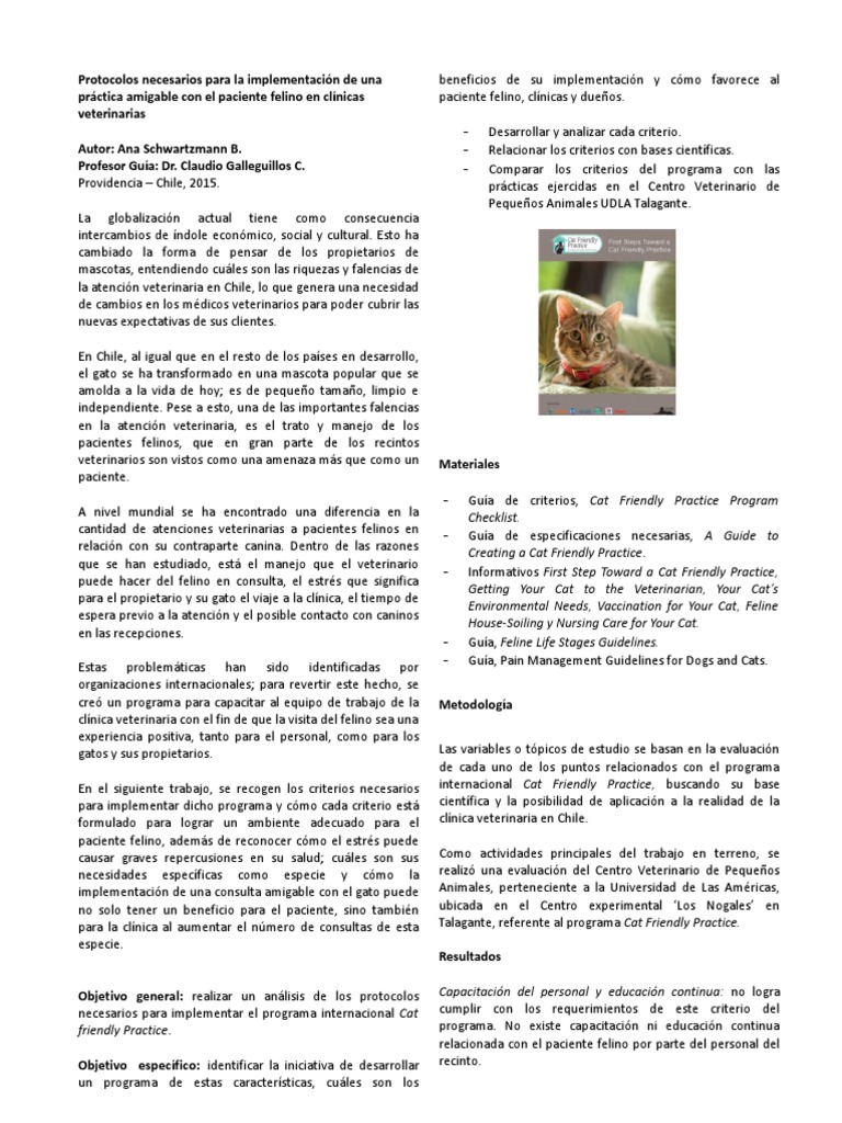 Protocolo Cat Friendly en Veterinarias | PDF | Gatos | Felidae