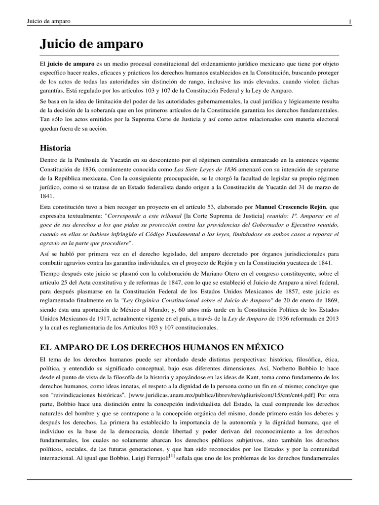 Juicio de Amparo | PDF | Derecho Constitucional | Constitución