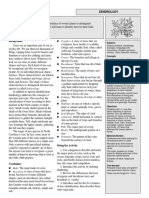 Dendrology PDF