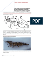 Crustacean identification study chart