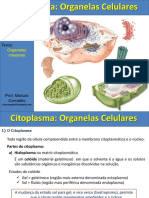 Organelas Citoplasmática