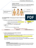 Guia Traumatismo Abdominal