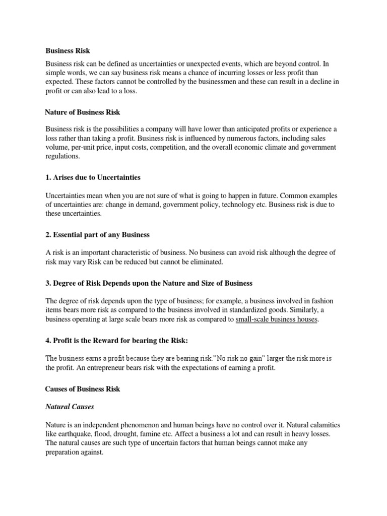 Business Risk | PDF | Risk Management | Risk