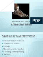 Connective Tissue: Keeping The Body Together