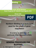 Northern Blotting - Arista 04042518007 - BIOMOL