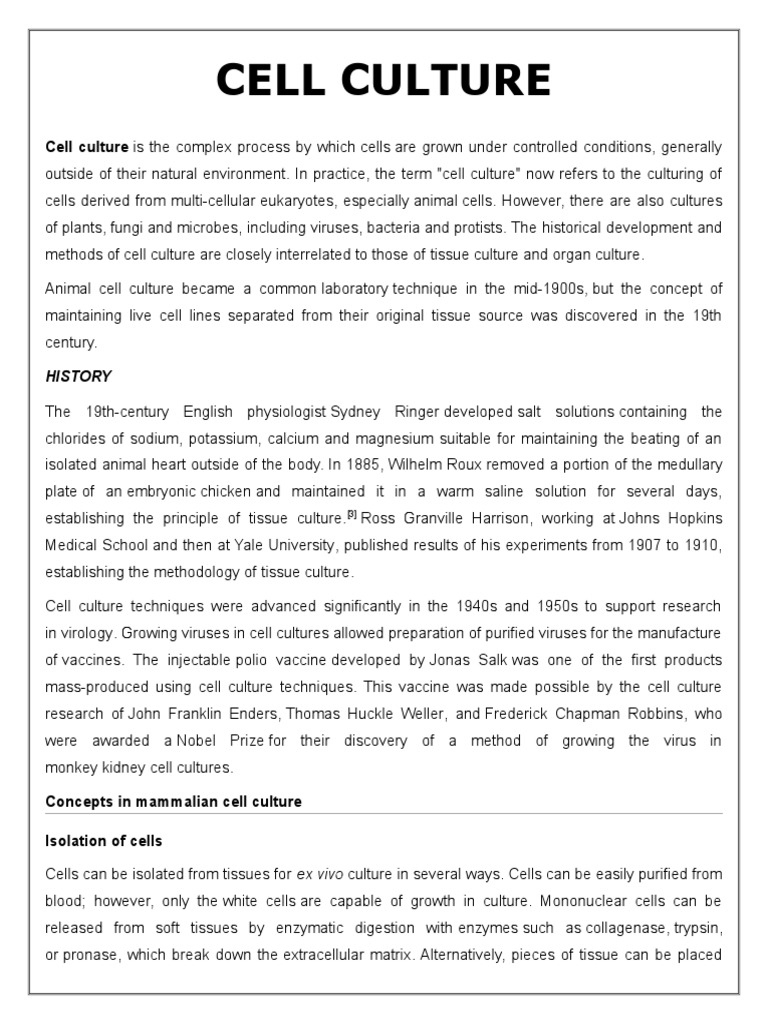 Cell Culture PDF Cell Culture Life Sciences