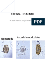 Cacing - Helminth: Dr. Selfi Renita Rusjdi M.Biomed