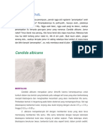 Candida albican.pdf