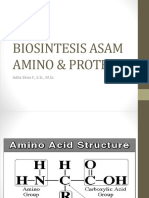 Biosintesis Asam Amino Protein