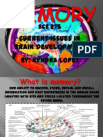 Current Issues in Brain Development