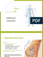 Drenaje Venos de La Galndula Mamaria