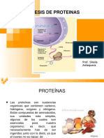 sintesisdeproteinas-100309093825-phpapp01.docx