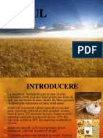 Grâul - Proiect Materii Prime Agroalimentare