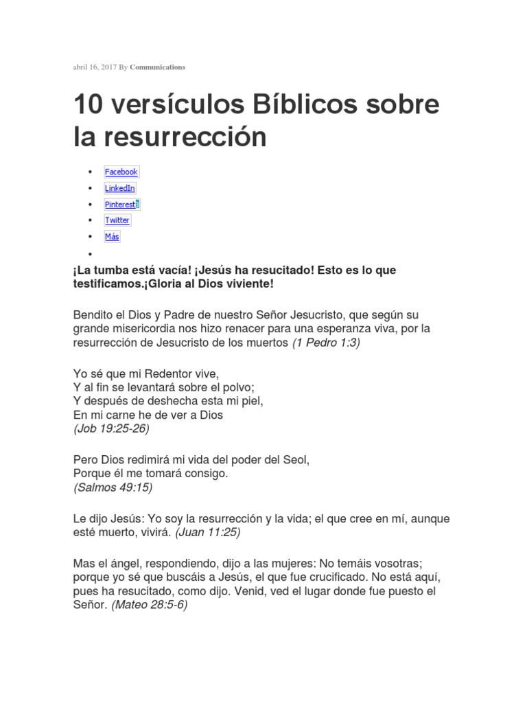 Decoración De Pared Con Versículos Bíblicos Cristianos - Placa Colgante  Floral Con Citas Inspiradoras De Las * (1 * 5:7, Lucas 1:39 * 8:28, 1  Corintios 10:13) - Decoración Religiosa De Estilo * Para, image size:768x1024