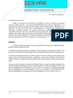 Apuntes de Cirugía-Secc23.pdf