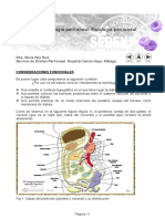 Liquido Peritoneal