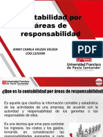 Conta Por Areas de Responsabilidad