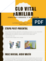 Ciclo Vital Familiar Etapas