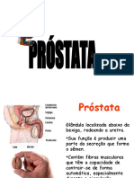 Próstata: Anatomia, Biópsia, Diagnóstico e Tratamento