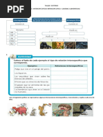 TALLER Relaciones Intra-Inter Cadenas Alim