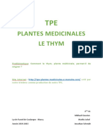 Dossier Tpe Final Mikhael v1