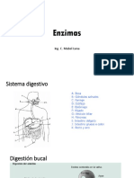 enzimas 1.pptx