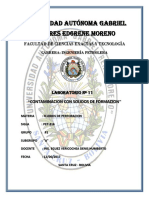 lab-11-contaminacion-con-solidos-de-formacion-aumentado-Copia-renovado-1.docx