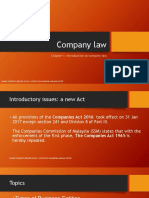 L1 Company Law Introduction